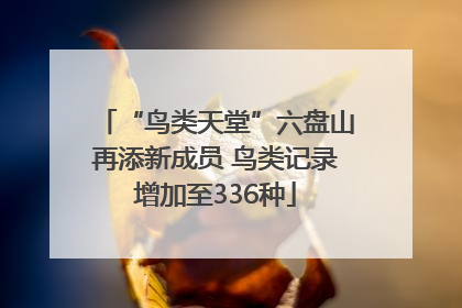 “鸟类天堂”六盘山再添新成员 鸟类记录增加至336种