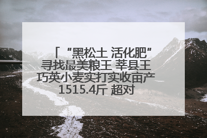“黑松土 活化肥”寻找最美粮王 莘县王巧英小麦实打实收亩产1515.4斤 超对照田144斤！