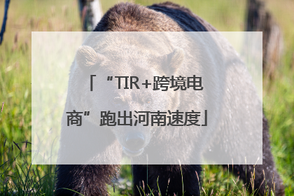 “TIR+跨境电商”跑出河南速度