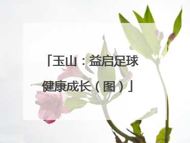 玉山：益启足球 健康成长（图）