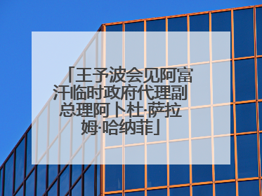 王予波会见阿富汗临时政府代理副总理阿卜杜·萨拉姆·哈纳菲