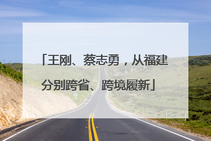 王刚、蔡志勇，从福建分别跨省、跨境履新