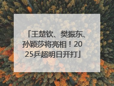 王楚钦、樊振东、孙颖莎将亮相！2025乒超明日开打