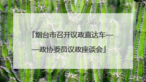 烟台市召开议政直达车——政协委员议政座谈会