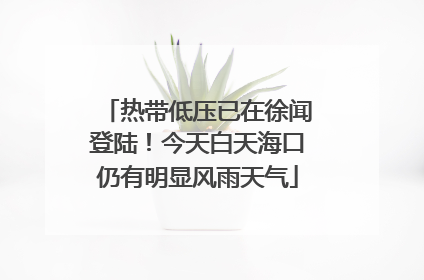 热带低压已在徐闻登陆！今天白天海口仍有明显风雨天气