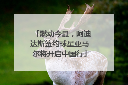 燃动今夏，阿迪达斯签约球星亚马尔将开启中国行