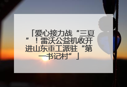 爱心接力战“三夏”！雷沃公益机收开进山东重工派驻“第一书记村”