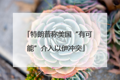特朗普称美国“有可能”介入以伊冲突