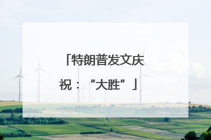 特朗普发文庆祝：“大胜”
