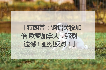 特朗普：钢铝关税加倍 欧盟加拿大：强烈遗憾！强烈反对！