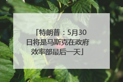 特朗普：5月30日将是马斯克在政府效率部最后一天