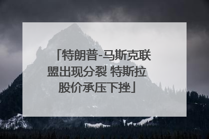 特朗普-马斯克联盟出现分裂 特斯拉股价承压下挫