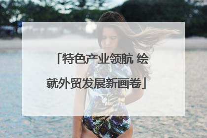 特色产业领航 绘就外贸发展新画卷