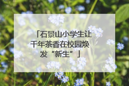 石景山小学生让千年茶香在校园焕发“新生”
