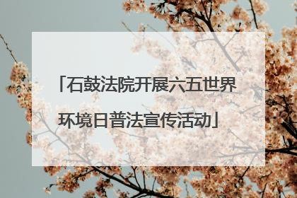 石鼓法院开展六五世界环境日普法宣传活动