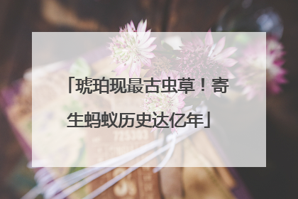 琥珀现最古虫草！寄生蚂蚁历史达亿年