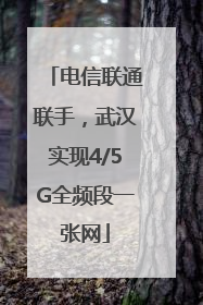 电信联通联手，武汉实现4/5G全频段一张网