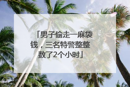 男子偷走一麻袋钱，三名特警整整数了2个小时