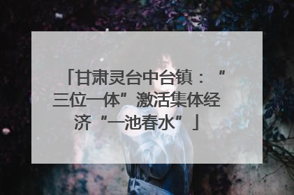 甘肃灵台中台镇：“三位一体”激活集体经济“一池春水”
