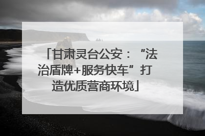 甘肃灵台公安：“法治盾牌+服务快车”打造优质营商环境