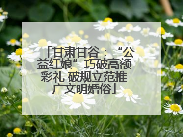 甘肃甘谷：“公益红娘”巧破高额彩礼 破规立范推广文明婚俗