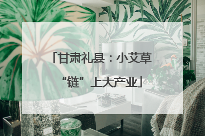 甘肃礼县：小艾草“链”上大产业