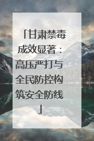 甘肃禁毒成效显著：高压严打与全民防控构筑安全防线