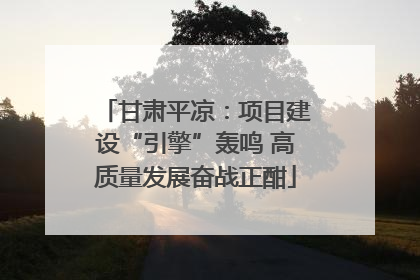 甘肃平凉：项目建设“引擎”轰鸣 高质量发展奋战正酣