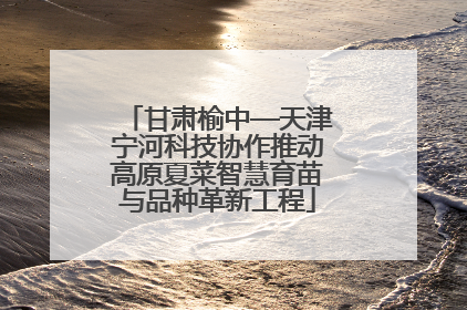 甘肃榆中—天津宁河科技协作推动高原夏菜智慧育苗与品种革新工程
