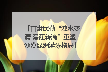 甘肃民勤“浊水变清 漫灌转滴”重塑沙漠绿洲灌溉格局