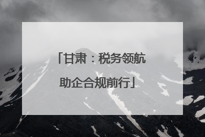 甘肃：税务领航 助企合规前行