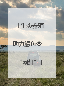 生态养殖助力鳜鱼变“网红”