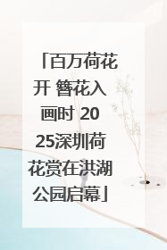百万荷花开 簪花入画时 2025深圳荷花赏在洪湖公园启幕