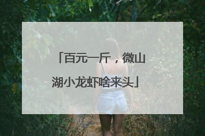 百元一斤，微山湖小龙虾啥来头