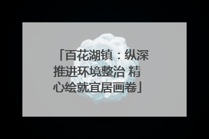 百花湖镇：纵深推进环境整治 精心绘就宜居画卷