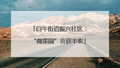 白午街道振兴社区：“微菜园”喜获丰收