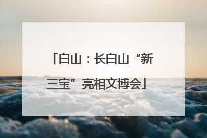 白山：长白山“新三宝”亮相文博会