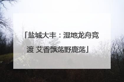 盐城大丰：湿地龙舟竞渡 艾香飘荡野鹿荡