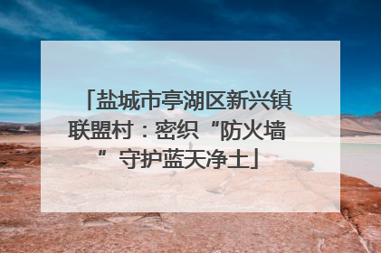 盐城市亭湖区新兴镇联盟村：密织“防火墙”守护蓝天净土