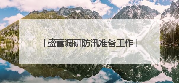 盛蕾调研防汛准备工作