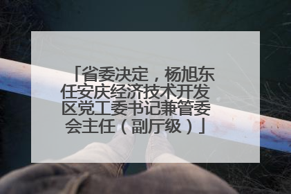 省委决定，杨旭东任安庆经济技术开发区党工委书记兼管委会主任（副厅级）