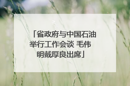 省政府与中国石油举行工作会谈 毛伟明戴厚良出席