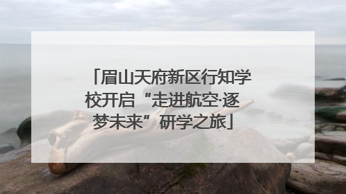 眉山天府新区行知学校开启“走进航空·逐梦未来”研学之旅