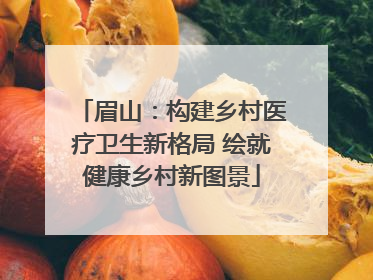 眉山：构建乡村医疗卫生新格局 绘就健康乡村新图景