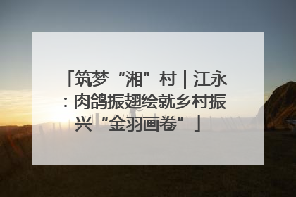 筑梦“湘”村｜江永：肉鸽振翅绘就乡村振兴“金羽画卷”