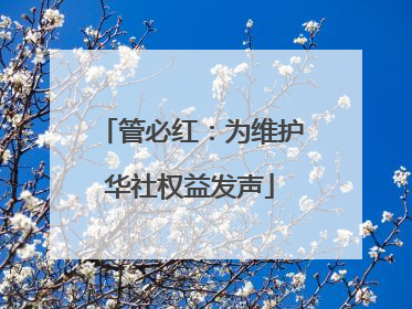 管必红：为维护华社权益发声