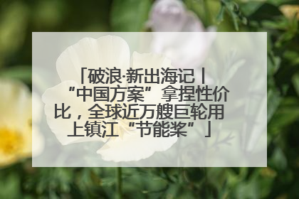 破浪·新出海记丨 “中国方案”拿捏性价比，全球近万艘巨轮用上镇江“节能桨”
