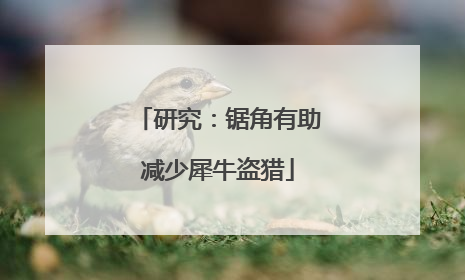 研究：锯角有助减少犀牛盗猎