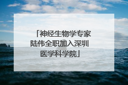 神经生物学专家陆伟全职加入深圳医学科学院