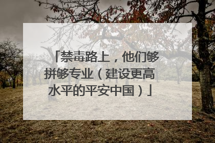 禁毒路上，他们够拼够专业（建设更高水平的平安中国）